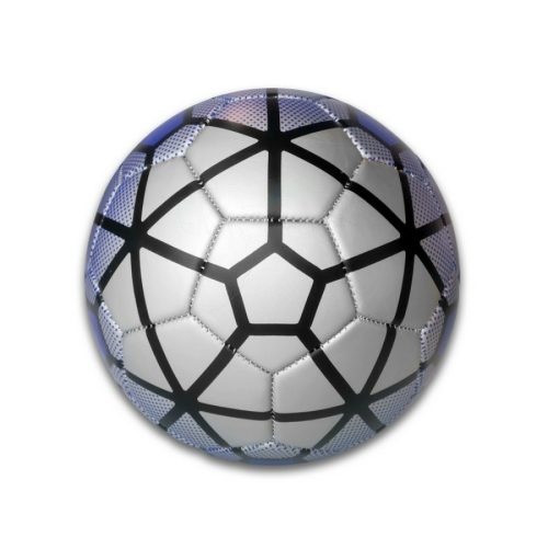 Futball labda, géppel varrott edzőlabda, ezüst-kék, 5-ös méret, Salta