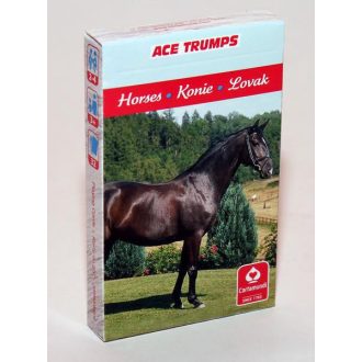 4 AZ 1-BEN / KEDVENCEINK A LOVAK KÁRTYA